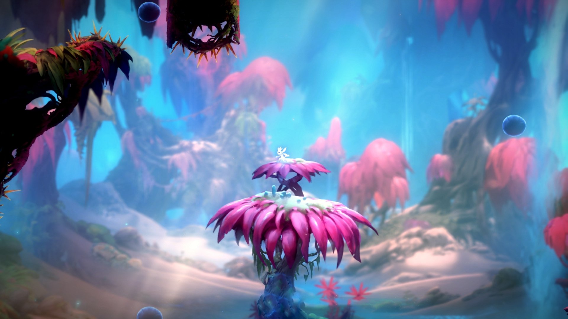 世界杯磁场,从维尼修斯的舞步,到基多高原的雪