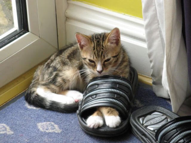 开云体育-欧冠决赛的篮球启示录，当步行者式封锁降临温布利