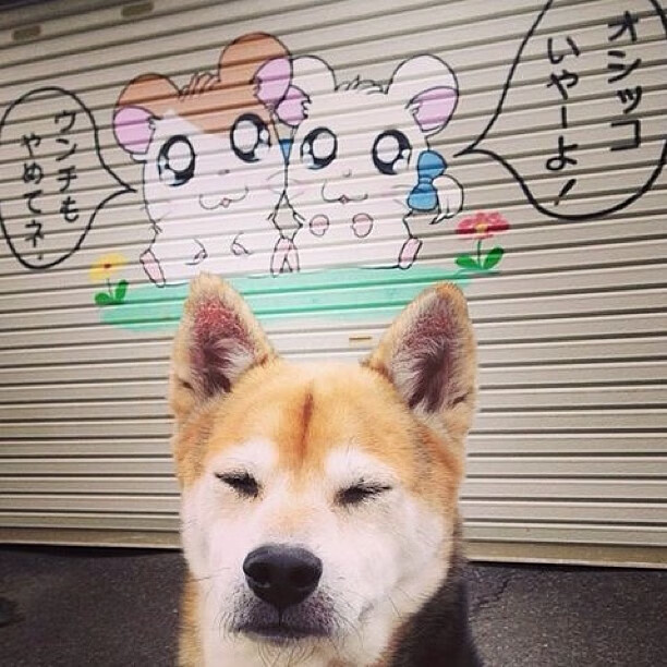 生死战逆袭,森林狼总决赛焦点战力克凯尔特人