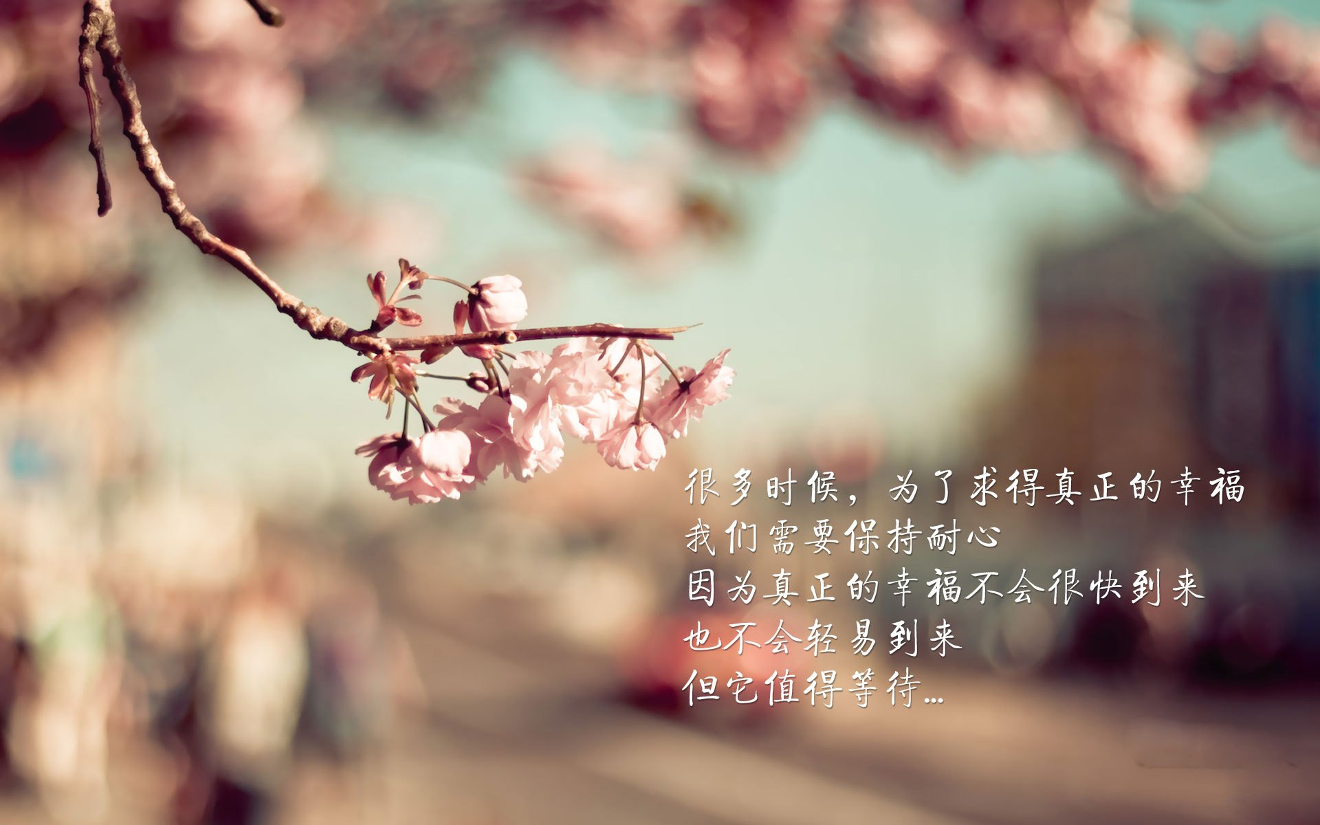 当绿白条纹遇见三色旗，哈弗茨的生涯魔法之夜