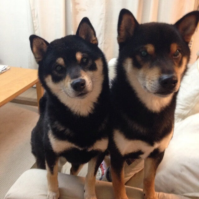 独眼巨人的凝视，西决生死夜，字母哥踏碎质疑的12分钟