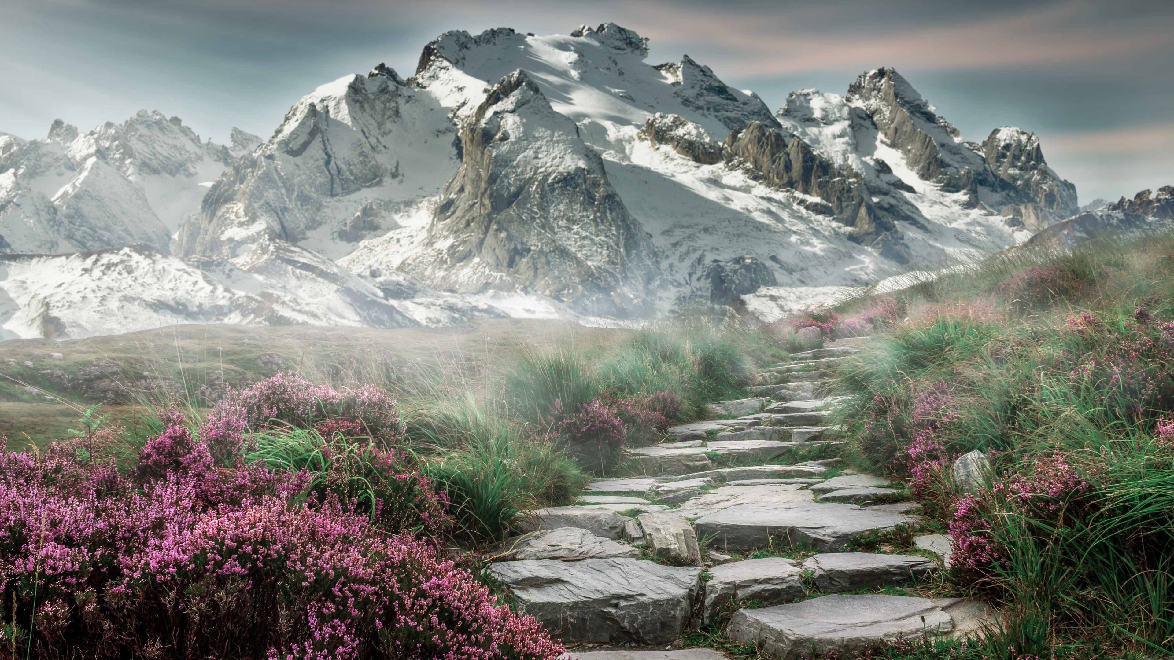 一节定江山！爱尔兰队单节狂轰20分差击溃马德里竞技