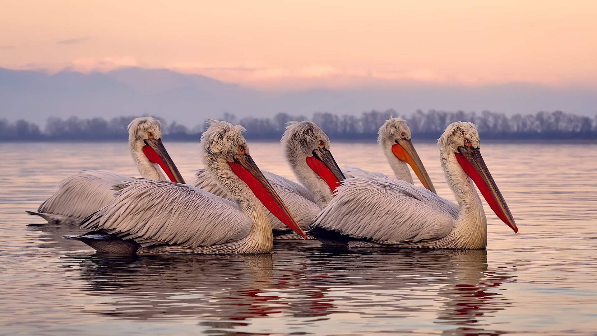 冰冷数据之火，当凯恩的射门钉穿曼城狂欢夜