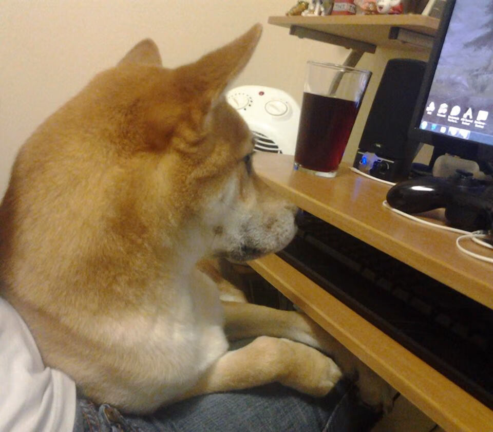 技术统计表上,他的得分栏并不醒目,篮板与助攻也只是中规中矩。唯有一项数据旁,或许该有个无形的星标,对位核心球员,最后五分钟,零次运动战得分,两次被迫失误