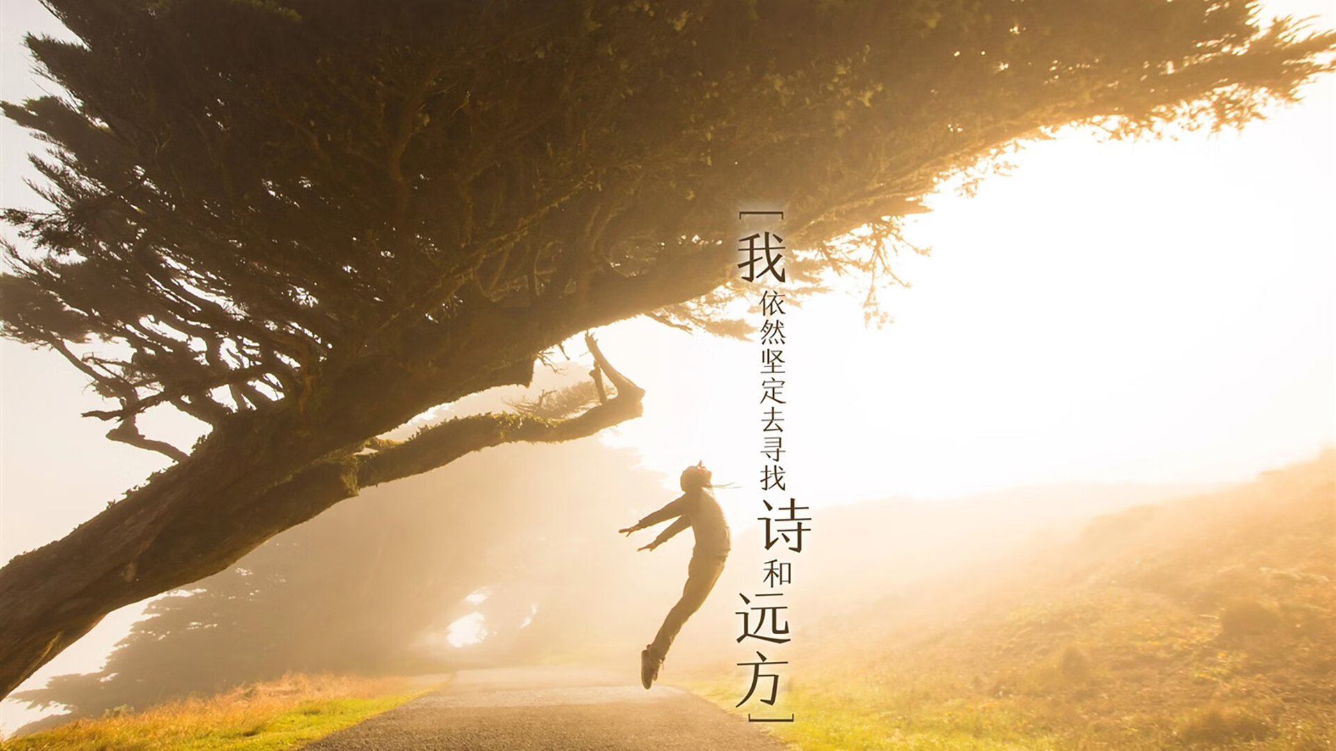 误读的传奇,当帕尔默在南美起舞—阿根廷如何击败西班牙并揭开2026世界杯的新篇章