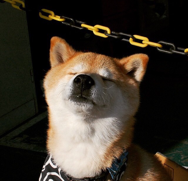 冰川与火焰交响曲,冰岛速胜新西兰,布雷默化身极地火山