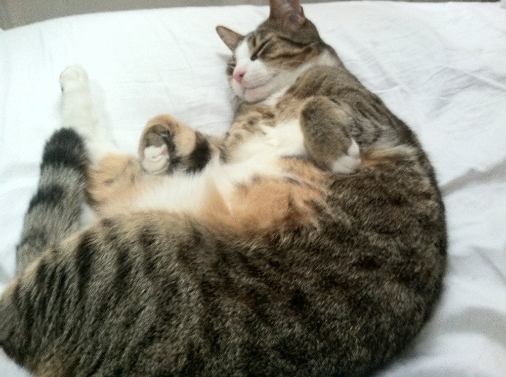 开云体育-韩土对决启示录，巴斯托尼的防守艺术，如何定义现代中卫教科书