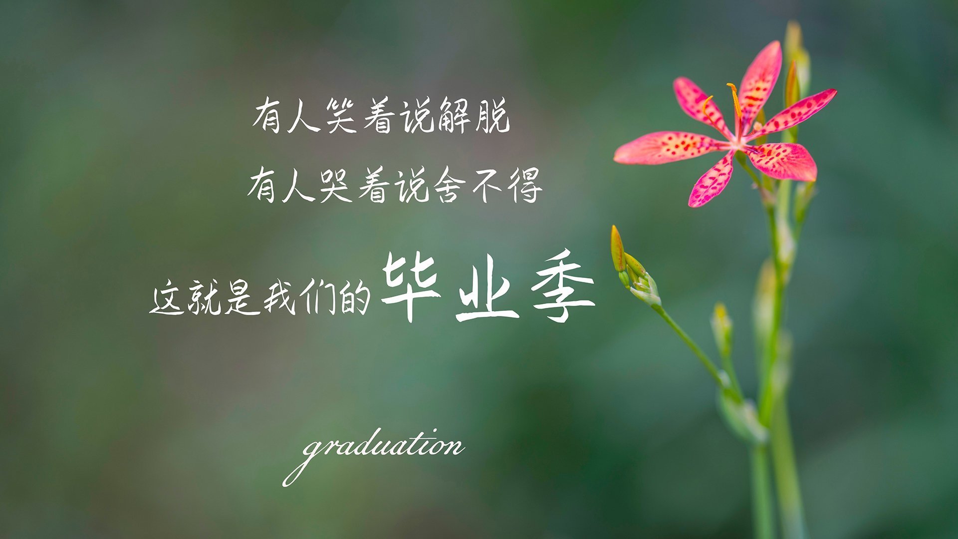 以下是为您精心构思的标题及文章