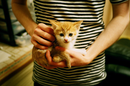 开云体育官网-2026，新泽西的星条旗之夜，当上帝之子贝林厄姆，用一次滑跪改写了足球世界的版图