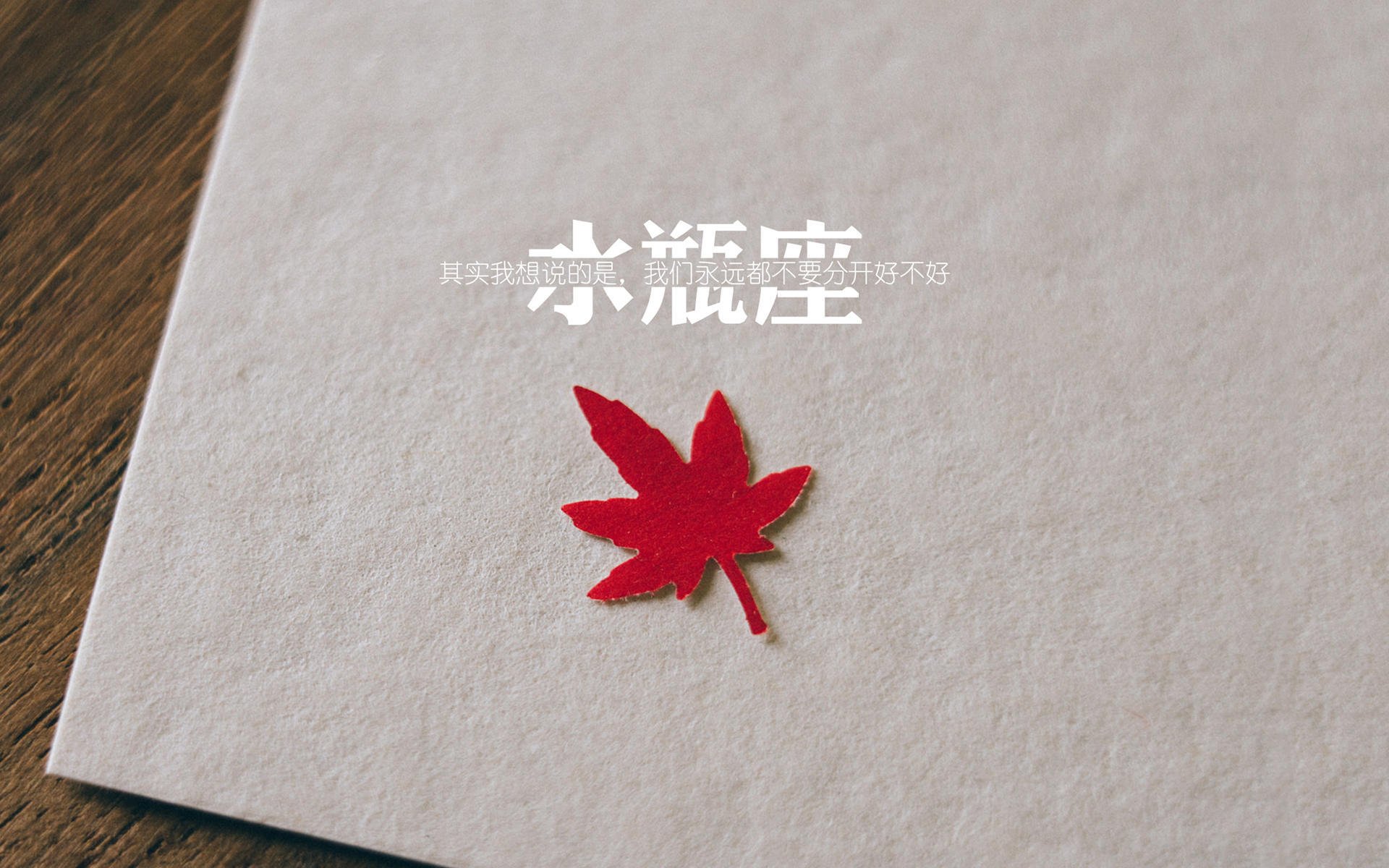 当碾压成为唯一定义,2026世界杯E组,罗马尼亚的咆哮与凯恩的孤星