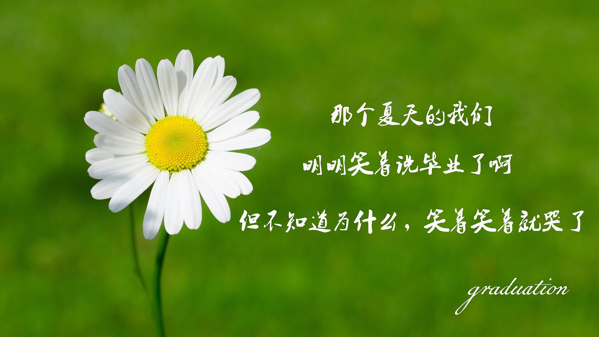 开云体育平台APP-全场碾压下的孤胆英雄，德国4-0横扫厄瓜多尔，齐耶赫以一己之力定义G组唯一奇迹